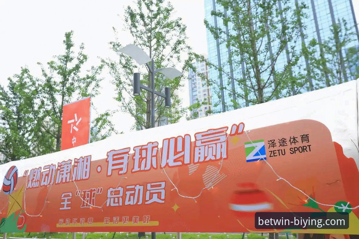 必赢体育官网官方下载与第三方渠道对比：2026年如何安全高效地加入我们